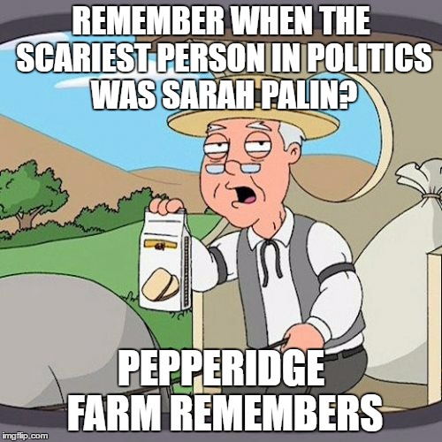 Before the dark times... | REMEMBER WHEN THE SCARIEST PERSON IN POLITICS WAS SARAH PALIN? PEPPERIDGE FARM REMEMBERS | image tagged in memes,pepperidge farm remembers,sarah palin | made w/ Imgflip meme maker