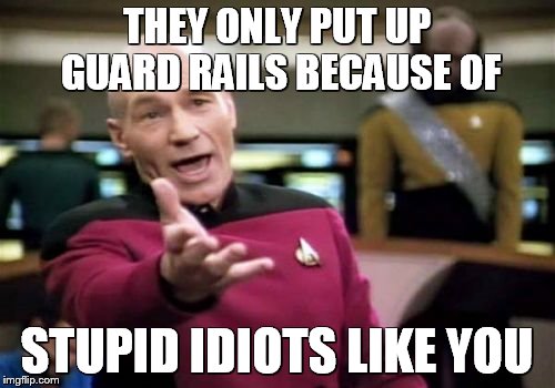 Picard Wtf Meme | THEY ONLY PUT UP GUARD RAILS BECAUSE OF; STUPID IDIOTS LIKE YOU | image tagged in memes,picard wtf | made w/ Imgflip meme maker