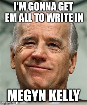 Joe Biden SURE  | I'M GONNA GET EM ALL TO WRITE IN; MEGYN KELLY | image tagged in joe biden sure | made w/ Imgflip meme maker