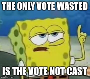 THE ONLY VOTE WASTED IS THE VOTE NOT CAST | made w/ Imgflip meme maker