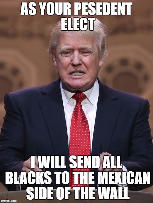 Donald Trump | AS YOUR PESEDENT ELECT; I WILL SEND ALL BLACKS TO THE MEXICAN SIDE OF THE WALL | image tagged in donald trump | made w/ Imgflip meme maker