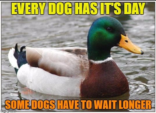 EVERY DOG HAS IT'S DAY SOME DOGS HAVE TO WAIT LONGER | made w/ Imgflip meme maker