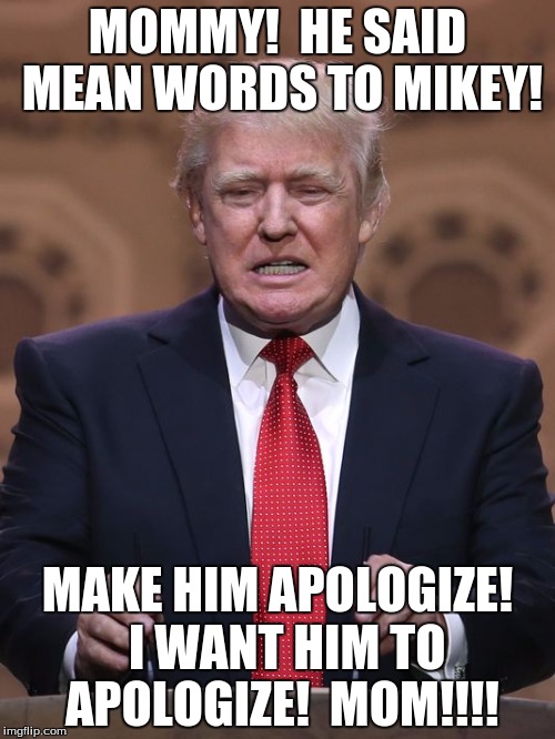 Donald Trump | MOMMY!  HE SAID MEAN WORDS TO MIKEY! MAKE HIM APOLOGIZE!  I WANT HIM TO APOLOGIZE!  MOM!!!! | image tagged in donald trump | made w/ Imgflip meme maker
