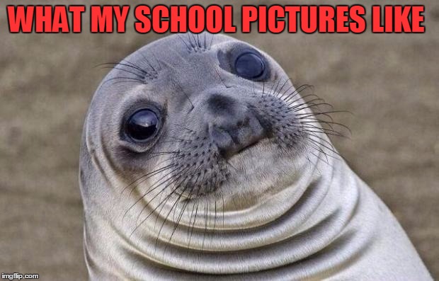 Awkward Moment Sealion | WHAT MY SCHOOL PICTURES LIKE | image tagged in memes,awkward moment sealion | made w/ Imgflip meme maker