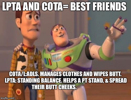 X, X Everywhere Meme | LPTA AND COTA= BEST FRIENDS; COTA/L:ADLS. MANAGES CLOTHES AND WIPES BUTT. LPTA: STANDING BALANCE. HELPS A PT STAND, & SPREAD THEIR BUTT CHEEKS. | image tagged in memes,x x everywhere | made w/ Imgflip meme maker