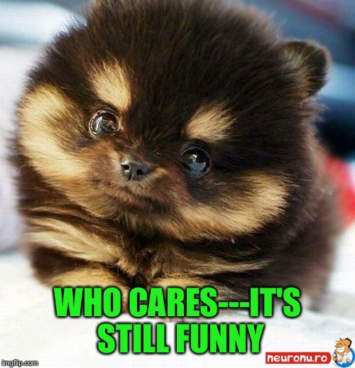 WHO CARES---IT'S STILL FUNNY | made w/ Imgflip meme maker