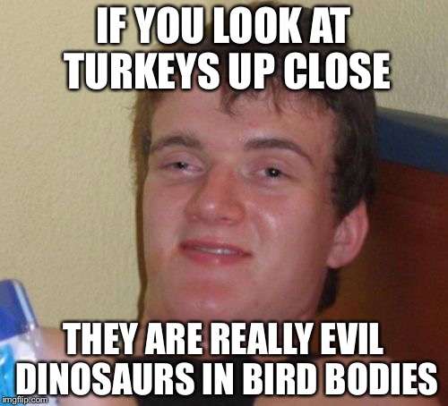 10 Guy | IF YOU LOOK AT TURKEYS UP CLOSE; THEY ARE REALLY EVIL DINOSAURS IN BIRD BODIES | image tagged in memes,10 guy | made w/ Imgflip meme maker