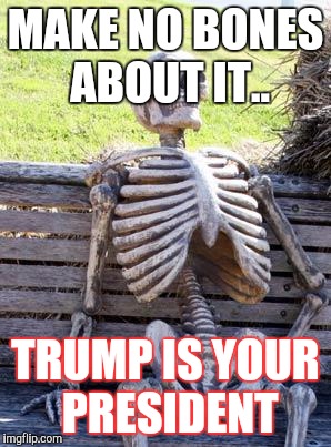 Waiting Skeleton Meme | MAKE NO BONES ABOUT IT.. TRUMP IS YOUR PRESIDENT | image tagged in memes,waiting skeleton | made w/ Imgflip meme maker