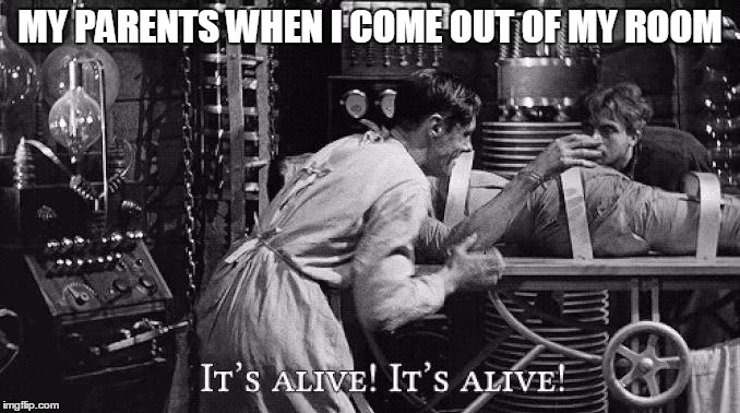 MY PARENTS WHEN I COME OUT OF MY ROOM | image tagged in parents,parenting,it's alive,frankenstein,introverts,introvert | made w/ Imgflip meme maker