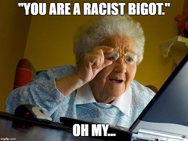 Grandma Finds The Internet |  "YOU ARE A RACIST BIGOT."; OH MY... | image tagged in memes,grandma finds the internet | made w/ Imgflip meme maker