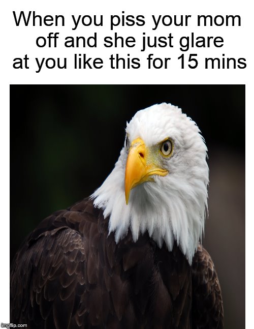 When you piss your mom off.... | When you piss your mom off and she just glare at you like this for 15 mins | image tagged in funny memes,american eagle,death stare,angry,mom | made w/ Imgflip meme maker
