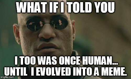 Matrix Morpheus | WHAT IF I TOLD YOU; I TOO WAS ONCE HUMAN... UNTIL  I EVOLVED INTO A MEME. | image tagged in memes,matrix morpheus | made w/ Imgflip meme maker