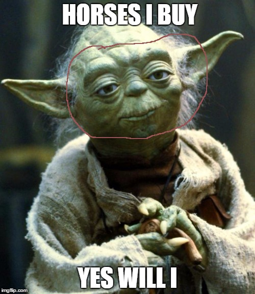 Star Wars Yoda Meme | HORSES I BUY; YES WILL I | image tagged in memes,star wars yoda | made w/ Imgflip meme maker