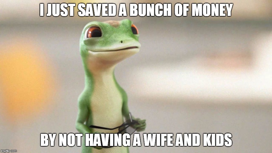 Freedom!!! | I JUST SAVED A BUNCH OF MONEY; BY NOT HAVING A WIFE AND KIDS | image tagged in geico gecko | made w/ Imgflip meme maker