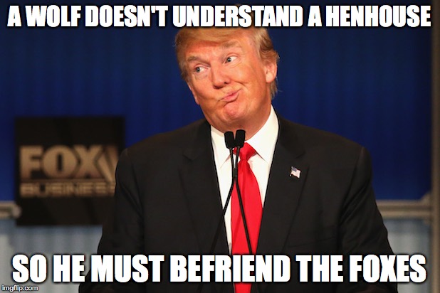 Trump confused | A WOLF DOESN'T UNDERSTAND A HENHOUSE; SO HE MUST BEFRIEND THE FOXES | image tagged in trump confused | made w/ Imgflip meme maker