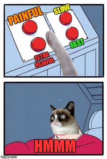 Looks like he's already made up his mind | HMMM | image tagged in memes,grumpy cat,the daily struggle,extra painful | made w/ Imgflip meme maker