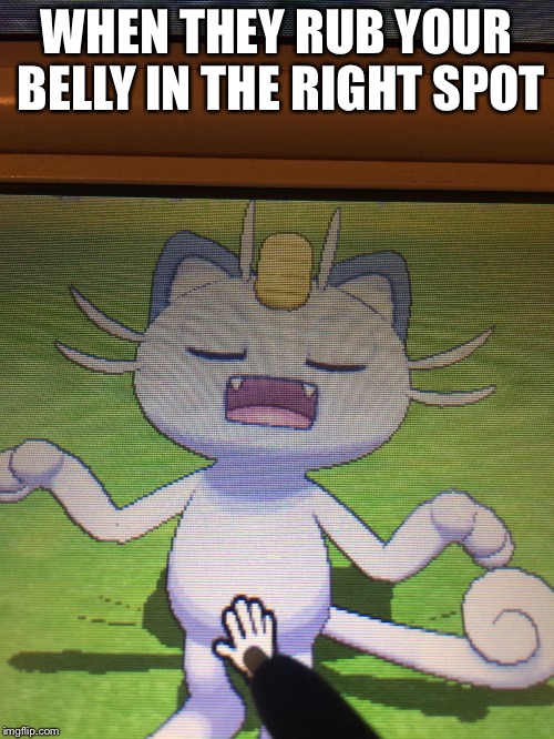 rubin the spot | WHEN THEY RUB YOUR BELLY IN THE RIGHT SPOT | image tagged in memes,pokemon | made w/ Imgflip meme maker