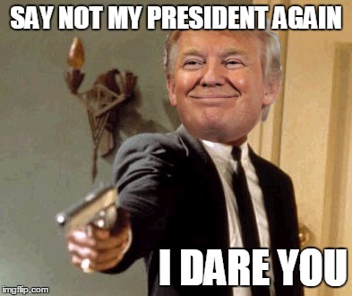 Say That Again I Dare You | SAY NOT MY PRESIDENT AGAIN; I DARE YOU | image tagged in memes,say that again i dare you,donald trump,election 2016 | made w/ Imgflip meme maker