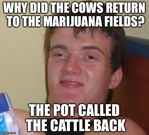 10 Guy | WHY DID THE COWS RETURN TO THE MARIJUANA FIELDS? THE POT CALLED THE CATTLE BACK | image tagged in memes,10 guy | made w/ Imgflip meme maker