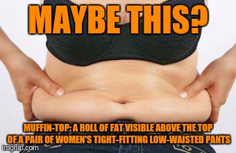 MAYBE THIS? MUFFIN-TOP: A ROLL OF FAT VISIBLE ABOVE THE TOP OF A PAIR OF WOMEN'S TIGHT-FITTING LOW-WAISTED PANTS | made w/ Imgflip meme maker