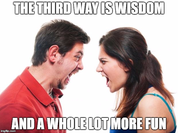 ANGRY FIGHTING MARRIED COUPLE HUSBAND & WIFE | THE THIRD WAY IS WISDOM; AND A WHOLE LOT MORE FUN | image tagged in angry fighting married couple husband  wife | made w/ Imgflip meme maker