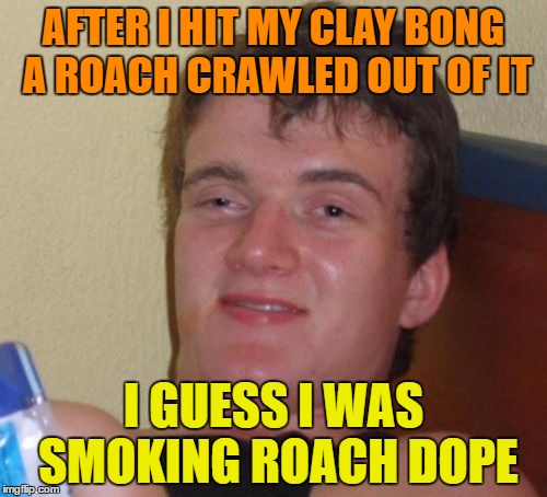 10 Guy Meme | AFTER I HIT MY CLAY BONG A ROACH CRAWLED OUT OF IT; I GUESS I WAS SMOKING ROACH DOPE | image tagged in memes,10 guy | made w/ Imgflip meme maker