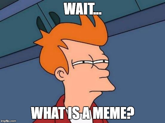 Futurama Fry | WAIT... WHAT IS A MEME? | image tagged in memes,futurama fry | made w/ Imgflip meme maker