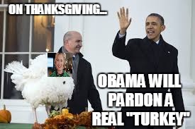 ON THANKSGIVING... OBAMA WILL PARDON A REAL "TURKEY" | image tagged in obama pardons a real turkey | made w/ Imgflip meme maker