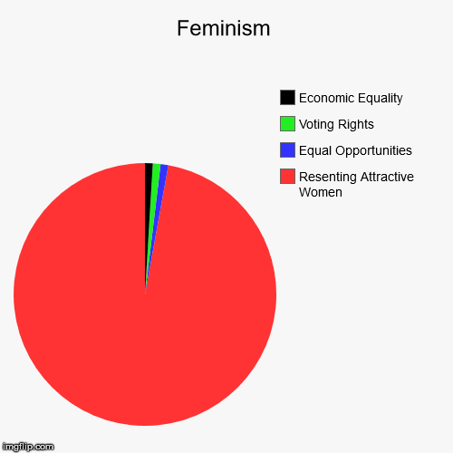 Feminism | Resenting Attractive Women, Equal Opportunities, Voting Rights, Economic Equality | image tagged in funny,pie charts,feminism is cancer,political meme,satire,in your face | made w/ Imgflip chart maker