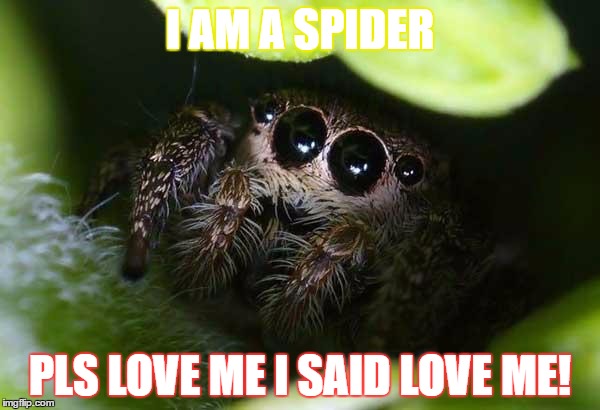 missunder stoood spider | I AM A SPIDER; PLS LOVE ME I SAID LOVE ME! | image tagged in missunder stoood spider | made w/ Imgflip meme maker