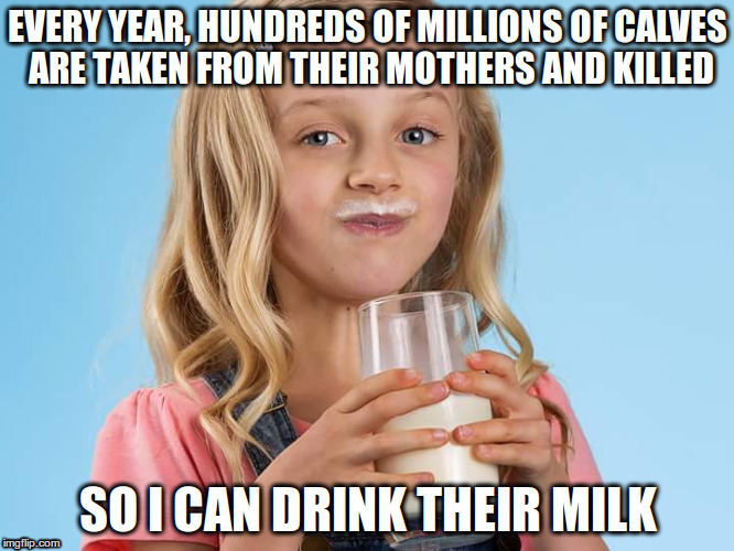 So I can drink their milk | EVERY YEAR, HUNDREDS OF MILLIONS OF CALVES ARE TAKEN FROM THEIR MOTHERS AND KILLED; SO I CAN DRINK THEIR MILK | image tagged in meadow fresh girl,vegan | made w/ Imgflip meme maker