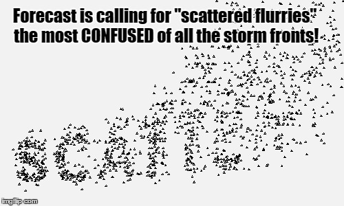 Scatter minded flurries? | Forecast is calling for "scattered flurries" the most CONFUSED of all the storm fronts! | image tagged in snow,funny | made w/ Imgflip meme maker