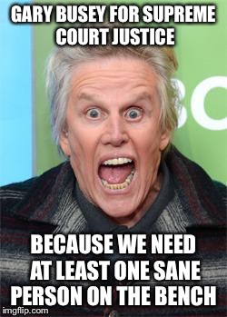 Gary Busey | GARY BUSEY FOR SUPREME COURT JUSTICE; BECAUSE WE NEED AT LEAST ONE SANE PERSON ON THE BENCH | image tagged in gary busey | made w/ Imgflip meme maker