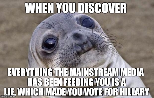 Awkward Moment Sealion | WHEN YOU DISCOVER; EVERYTHING THE MAINSTREAM MEDIA HAS BEEN FEEDING YOU IS A LIE, WHICH MADE YOU VOTE FOR HILLARY | image tagged in memes,awkward moment sealion,hillary,trump,presidential race | made w/ Imgflip meme maker