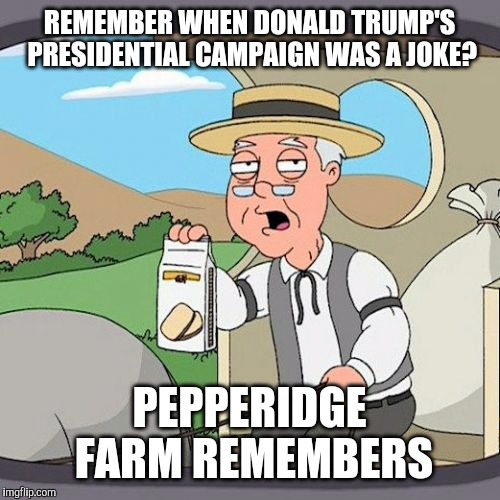 good times, i guess | REMEMBER WHEN DONALD TRUMP'S PRESIDENTIAL CAMPAIGN WAS A JOKE? PEPPERIDGE FARM REMEMBERS | image tagged in memes,pepperidge farm remembers,donald trump | made w/ Imgflip meme maker