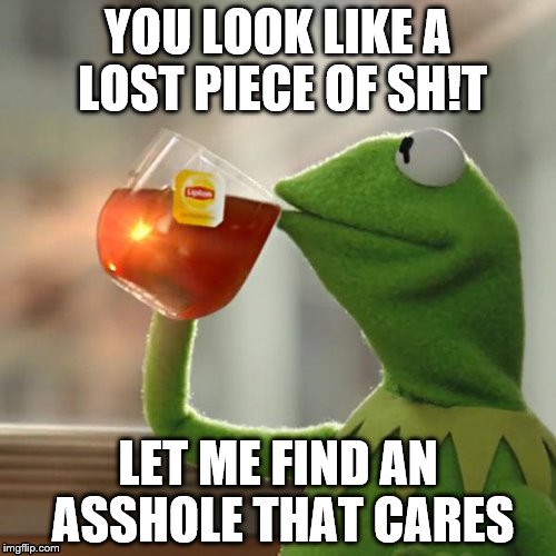 Do You Care, We Should All Care, But That's None Of My Business | YOU LOOK LIKE A LOST PIECE OF SH!T; LET ME FIND AN ASSHOLE THAT CARES | image tagged in memes,but thats none of my business,kermit the frog | made w/ Imgflip meme maker