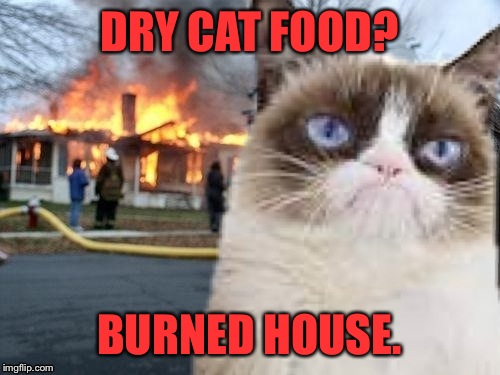 DRY CAT FOOD? BURNED HOUSE. | image tagged in memes,grumpy cat,funny,burning house girl | made w/ Imgflip meme maker