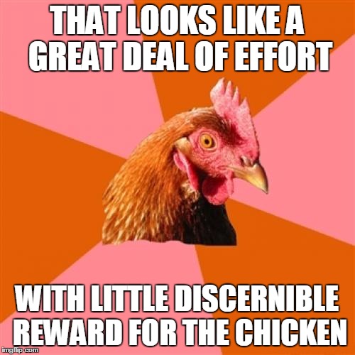 THAT LOOKS LIKE A GREAT DEAL OF EFFORT WITH LITTLE DISCERNIBLE REWARD FOR THE CHICKEN | made w/ Imgflip meme maker