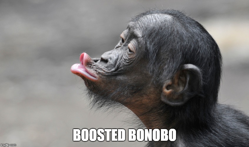 Boosted Bonobo | BOOSTED BONOBO | image tagged in boosted,boosted bonobo,bonobo | made w/ Imgflip meme maker