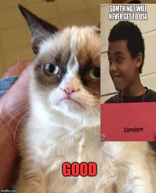 Grumpy Cat Meme | GOOD | image tagged in memes,grumpy cat | made w/ Imgflip meme maker