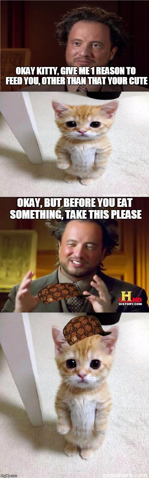 OKAY KITTY, GIVE ME 1 REASON TO FEED YOU, OTHER THAN THAT YOUR CUTE; OKAY, BUT BEFORE YOU EAT SOMETHING, TAKE THIS PLEASE | image tagged in memes,bad pun aliens guy,ancient aliens dude,cute cat,feed me,scumbag | made w/ Imgflip meme maker