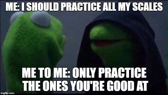 Me to me | ME: I SHOULD PRACTICE ALL MY SCALES; ME TO ME: ONLY PRACTICE THE ONES YOU'RE GOOD AT | image tagged in me to me | made w/ Imgflip meme maker