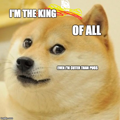 Doge Meme | I'M THE KING; OF ALL; EVEN I'M CUTER THAN PUGS | image tagged in memes,doge | made w/ Imgflip meme maker