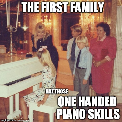#NeverBeenTold"No" | THE FIRST FAMILY; ONE HANDED PIANO SKILLS; HAZ THOSE | image tagged in wow | made w/ Imgflip meme maker