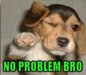 NO PROBLEM BRO | made w/ Imgflip meme maker