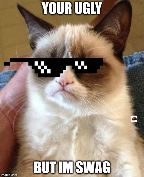 Grumpy Cat Meme | YOUR UGLY; BUT IM SWAG | image tagged in memes,grumpy cat | made w/ Imgflip meme maker
