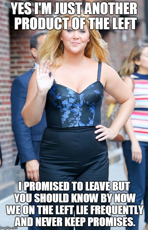 Lying assbag | YES I'M JUST ANOTHER PRODUCT OF THE LEFT; I PROMISED TO LEAVE BUT YOU SHOULD KNOW BY NOW WE ON THE LEFT LIE FREQUENTLY AND NEVER KEEP PROMISES. | image tagged in amy schumer | made w/ Imgflip meme maker