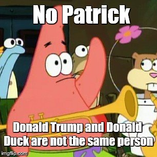 Thank you Steamfitter602 for inspiring me.  | No Patrick; Donald Trump and Donald Duck are not the same person | image tagged in memes,no patrick,donald trump | made w/ Imgflip meme maker