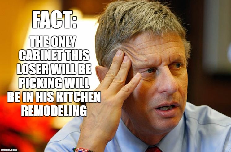 So you threw your vote away... | FACT:; THE ONLY CABINET THIS LOSER WILL BE PICKING WILL BE IN HIS KITCHEN REMODELING | image tagged in memes,gary johnson | made w/ Imgflip meme maker