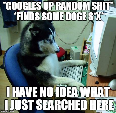 I Have No Idea What I Am Doing | *GOOGLES UP RANDOM SHIT* *FINDS SOME DOGE S*X*; I HAVE NO IDEA WHAT I JUST SEARCHED HERE | image tagged in memes,i have no idea what i am doing | made w/ Imgflip meme maker